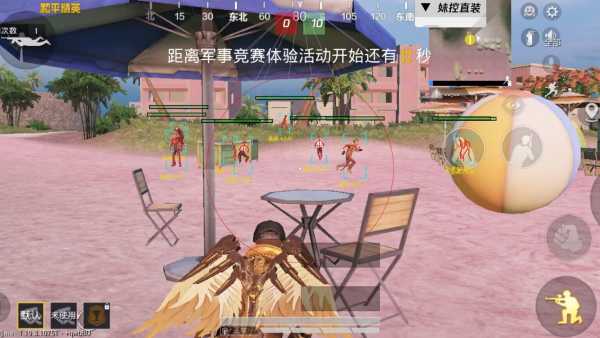 和平精英「青蛙直装」辅助，支持地铁
