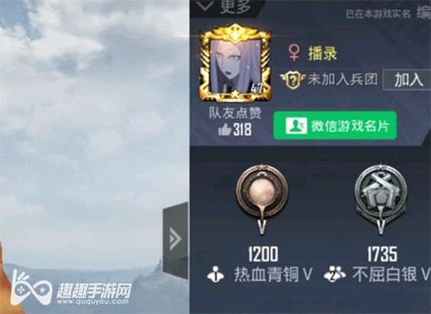 和平精英辅助【保时捷】